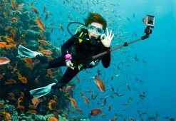 Budget π Telescoping Selfie Arm by Mizco (Digipower) β 14 Budget π Telescoping Selfie Arm by Mizco (Digipower) β -Electronics Elegant Store 202239 z6