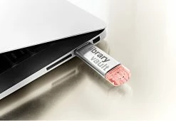 Budget 🔔 Pocket Library Vault by Paradise Publishers Inc 👏