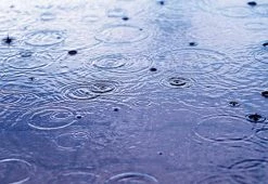 Best Sale π Sound Soother White Noise Machine by Sharper Image π€© 21 Best Sale π Sound Soother White Noise Machine by Sharper Image π€© -Electronics Elegant Store 204941 z10