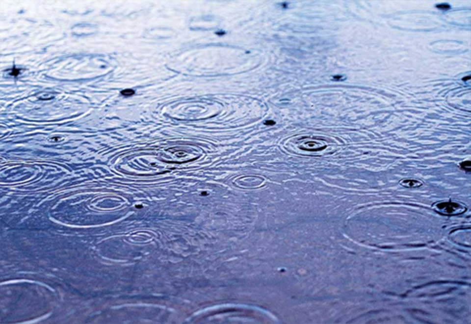 Best Sale π Sound Soother White Noise Machine by Sharper Image π€© 10 Best Sale π Sound Soother White Noise Machine by Sharper Image π€© - Image 10