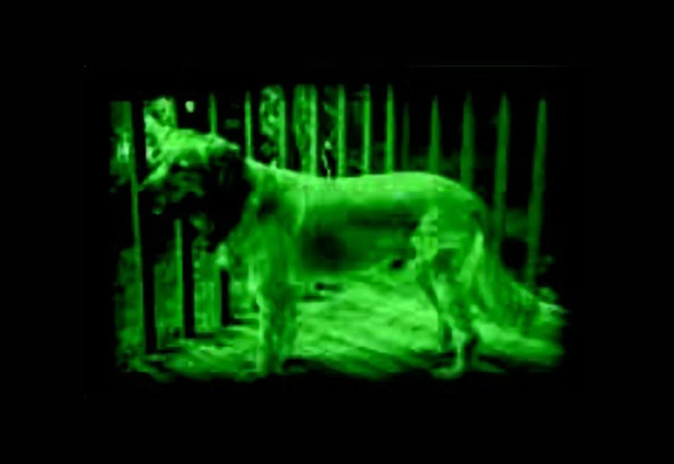 Wholesale π€© Kid's High-Tech Infrared Night Scope by Mukikim, LLC π 4 Wholesale π€© Kid's High-Tech Infrared Night Scope by Mukikim, LLC π - Image 4