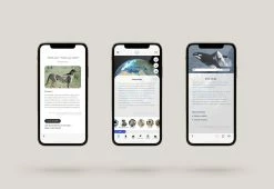 Flash Sale 💯 Augmented Reality 3D Earth by Quantum AR Technologies 🎁 -Electronics Elegant Store 206980 z11