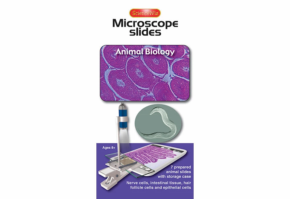 Outlet π€© World’s Most Powerful Clip-On Microscope Kit by ScienceWiz 𧨠6 Outlet π€© World’s Most Powerful Clip-On Microscope Kit by ScienceWiz 𧨠- Image 6