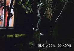 Coupon 🧨 Solar Security Video Camera and Floodlight by Maxsa Innovations ⭐ -Electronics Elegant Store 207311 z4