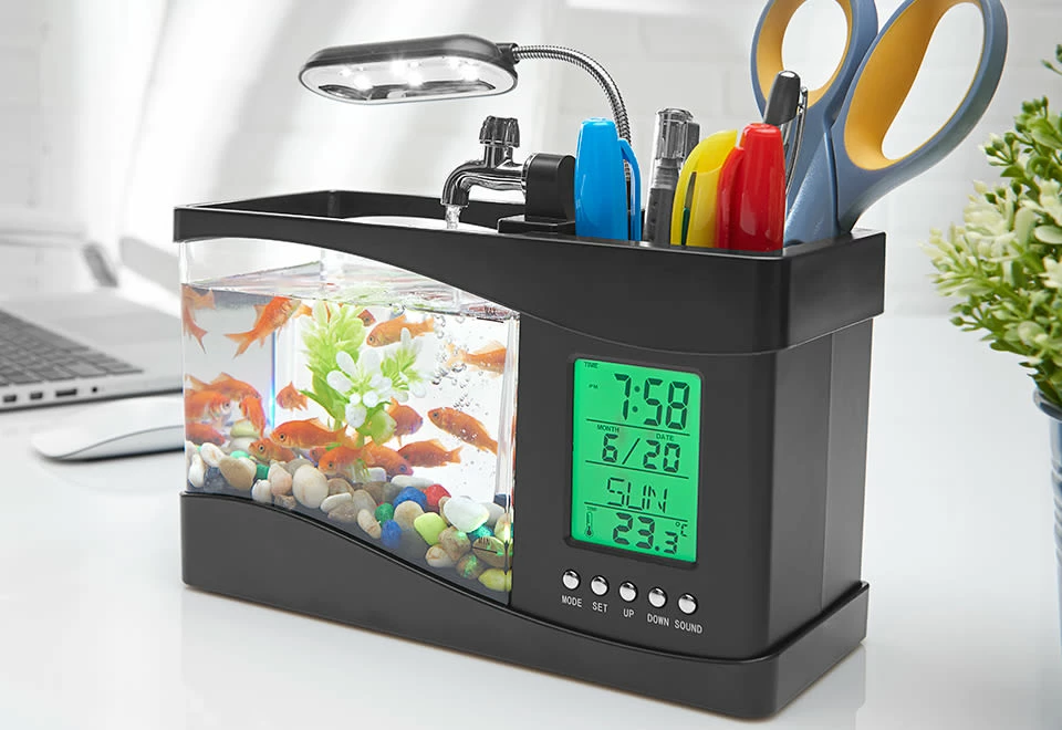Budget π€© Desktop Aquarium by MI - GHD Manufacture Co., Ltd. π 1 Budget π€© Desktop Aquarium by MI - GHD Manufacture Co., Ltd. π