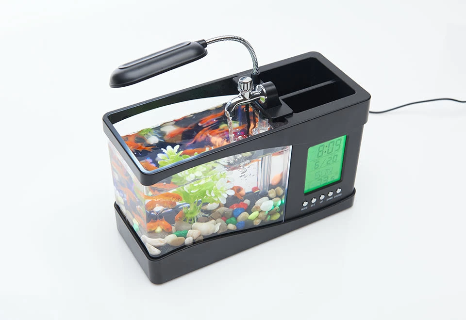 Budget π€© Desktop Aquarium by MI - GHD Manufacture Co., Ltd. π 2 Budget π€© Desktop Aquarium by MI - GHD Manufacture Co., Ltd. π - Image 2