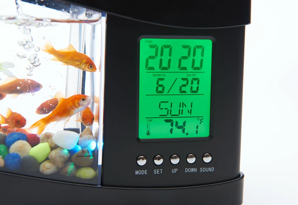 Budget π€© Desktop Aquarium by MI - GHD Manufacture Co., Ltd. π 3 Budget π€© Desktop Aquarium by MI - GHD Manufacture Co., Ltd. π - Image 3