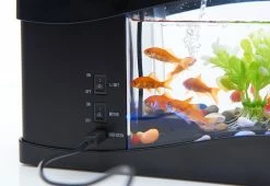 Budget π€© Desktop Aquarium by MI - GHD Manufacture Co., Ltd. π 10 Budget π€© Desktop Aquarium by MI - GHD Manufacture Co., Ltd. π -Electronics Elegant Store 207813 z4