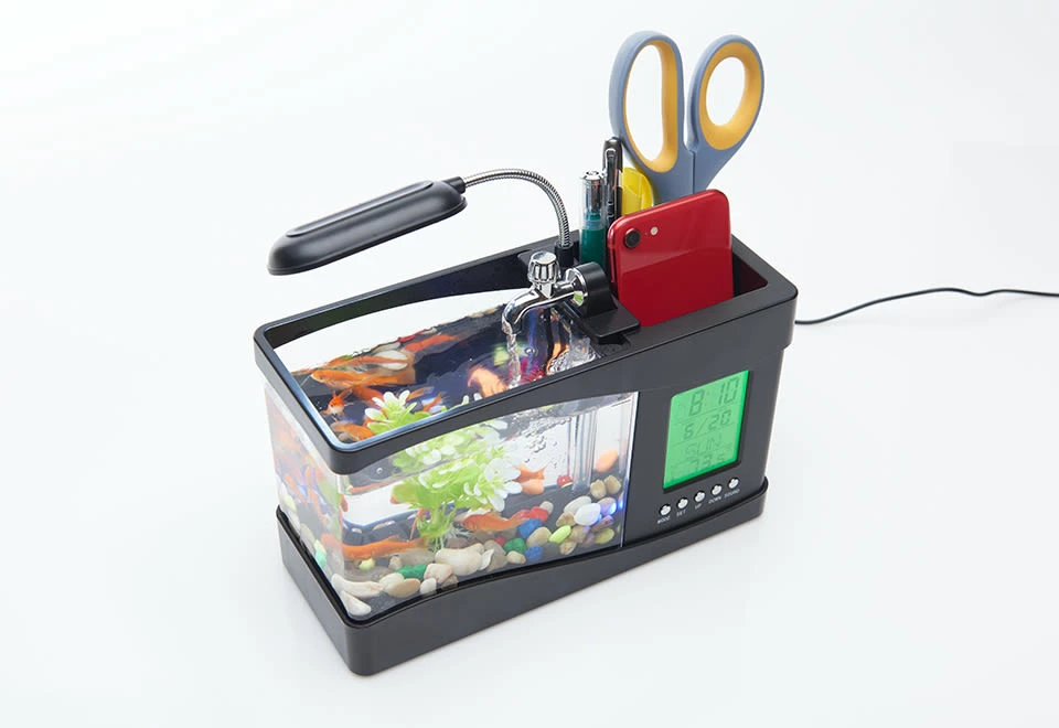 Budget π€© Desktop Aquarium by MI - GHD Manufacture Co., Ltd. π 5 Budget π€© Desktop Aquarium by MI - GHD Manufacture Co., Ltd. π - Image 5