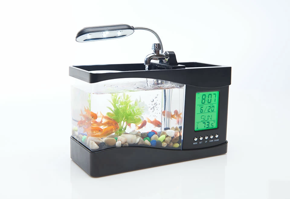 Budget π€© Desktop Aquarium by MI - GHD Manufacture Co., Ltd. π 6 Budget π€© Desktop Aquarium by MI - GHD Manufacture Co., Ltd. π - Image 6