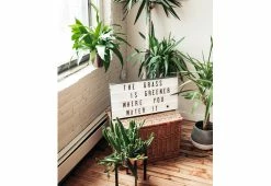 Electronics Elegant Store -Electronics Elegant Store 207863 z2