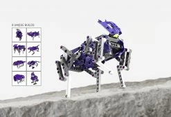 Cheapest 🤩 Terrain Walker Kit by Thames & Kosmos, LLC ✨