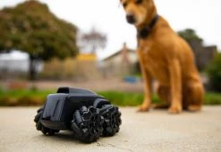 Discount ๐ฏ Mobile Security Robot by Pilot Laboratories, Inc โ๏ธ 26 Discount ๐ฏ Mobile Security Robot by Pilot Laboratories, Inc โ๏ธ -Electronics Elegant Store 208282 z10