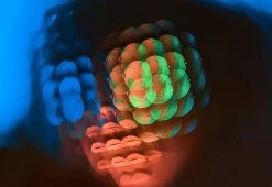 Promo β€οΈ Handheld Photo Filters (Set of 3) by Fractals LLC 𧨠33 Promo β€οΈ Handheld Photo Filters (Set of 3) by Fractals LLC 𧨠-Electronics Elegant Store 208298 z15