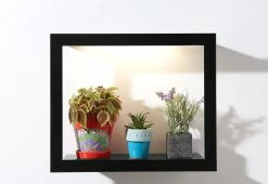 Best deal ❤️ Plant Growing Frame by Modern Sprout, LLC. 😀