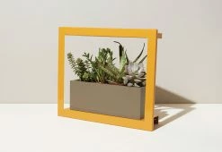 Best deal ❤️ Plant Growing Frame by Modern Sprout, LLC. 😀 -Electronics Elegant Store 208301 z12