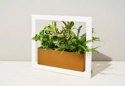 Best deal ❤️ Plant Growing Frame by Modern Sprout, LLC. 😀 -Electronics Elegant Store 208301 z9