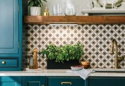 Best reviews of โญ Smart Plant Growing Light by Modern Sprout, LLC. ๐