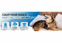 Wholesale 🎁 Sound Soother For Pets by PetMedics LLC ⌛ -Electronics Elegant Store 208545 z6