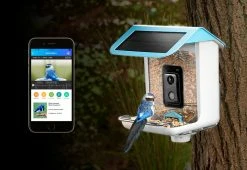 Deals 🛒 Video Camera Bird Feeder by Sharper Image ✔️