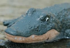 Hot Sale 🔔 RC Robot Crocodile by Jupiter Creations Inc 🛒 -Electronics Elegant Store 208601 z4